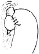 img-24.jpeg