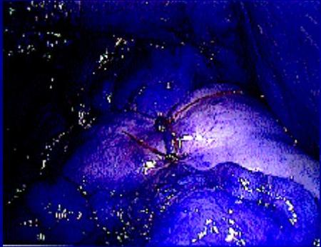 img-27.jpeg