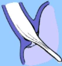 img-4.jpeg