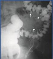img-11.jpeg