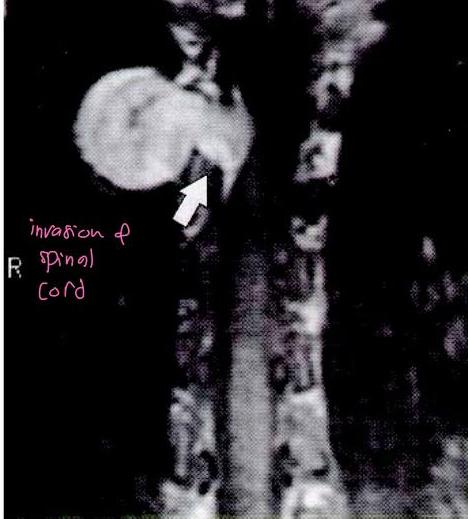 img-27.jpeg
