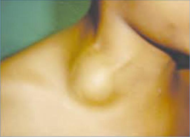 img-5.jpeg