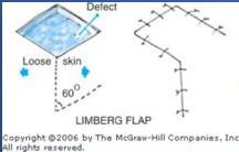 img-11.jpeg