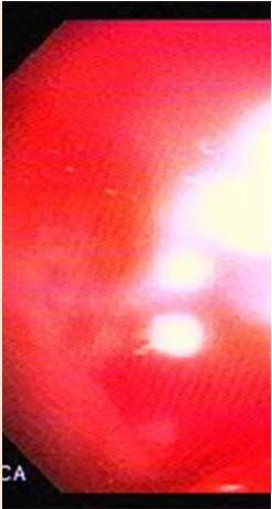 img-37.jpeg