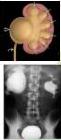 img-37.jpeg