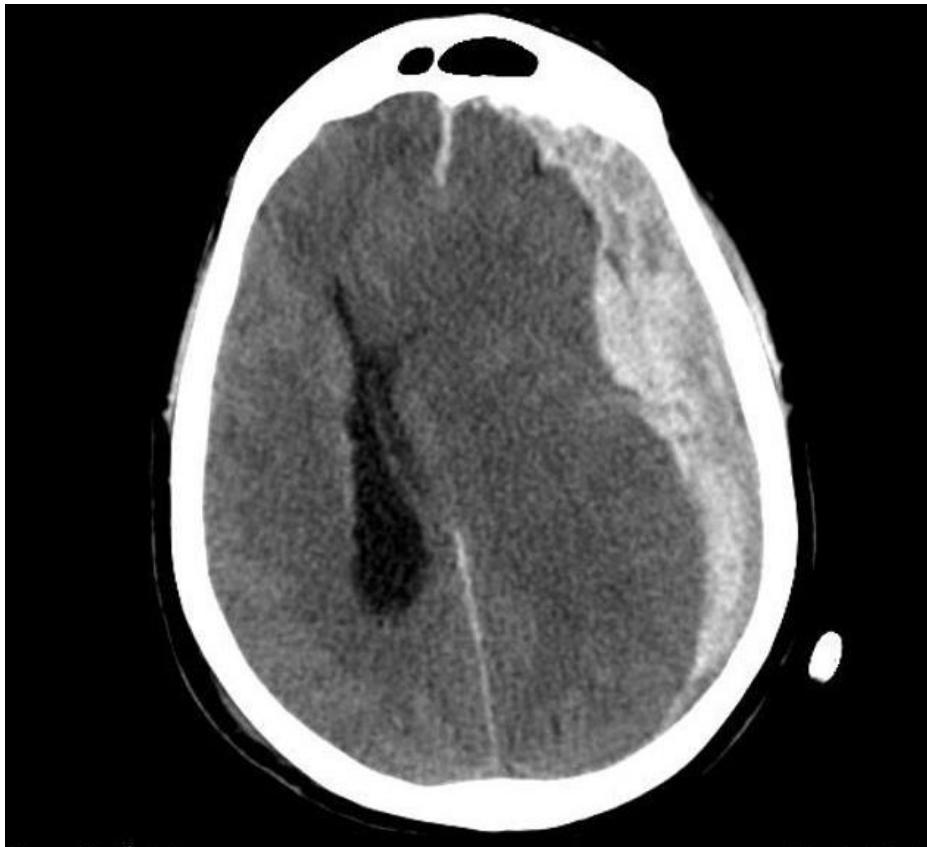 _page_102_Picture_3.jpeg|358x326