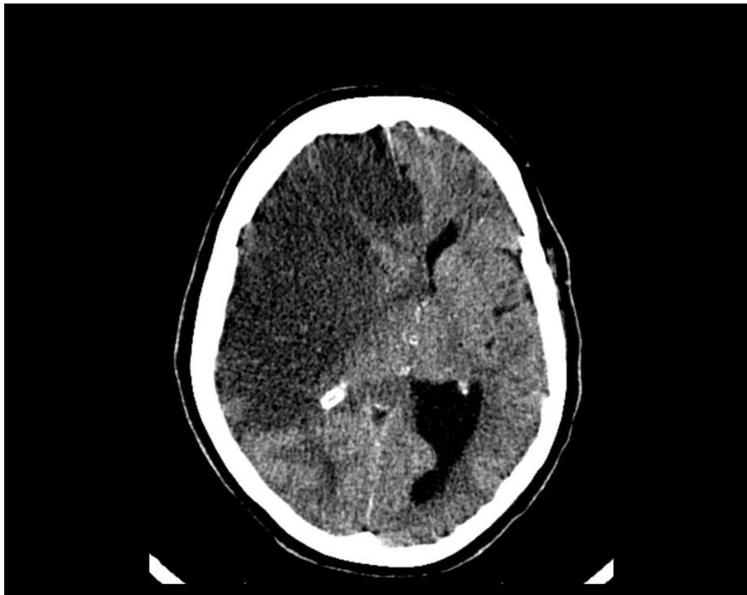 _page_104_Picture_2.jpeg|436x347