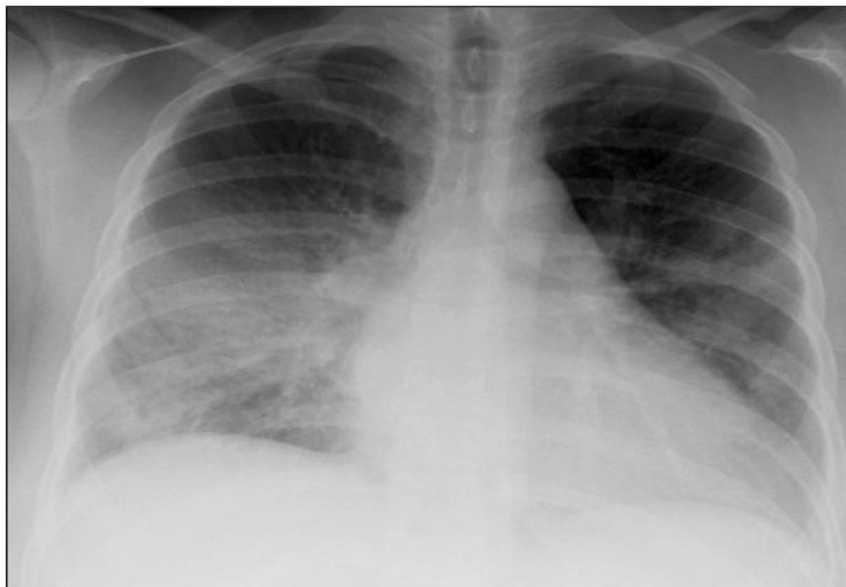 _page_117_Picture_2.jpeg|356x247