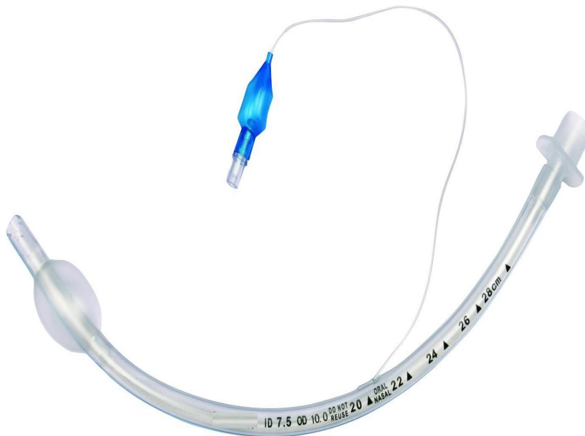 _page_120_Picture_8.jpeg|217x162