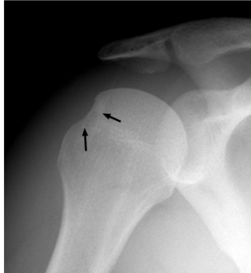 _page_126_Picture_2.jpeg|293x318