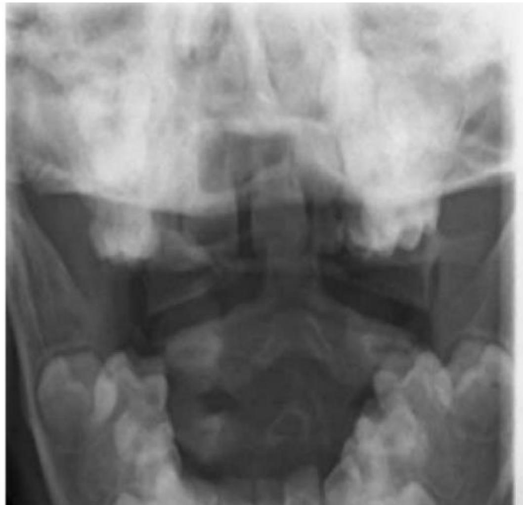 _page_12_Picture_4.jpeg|260x251