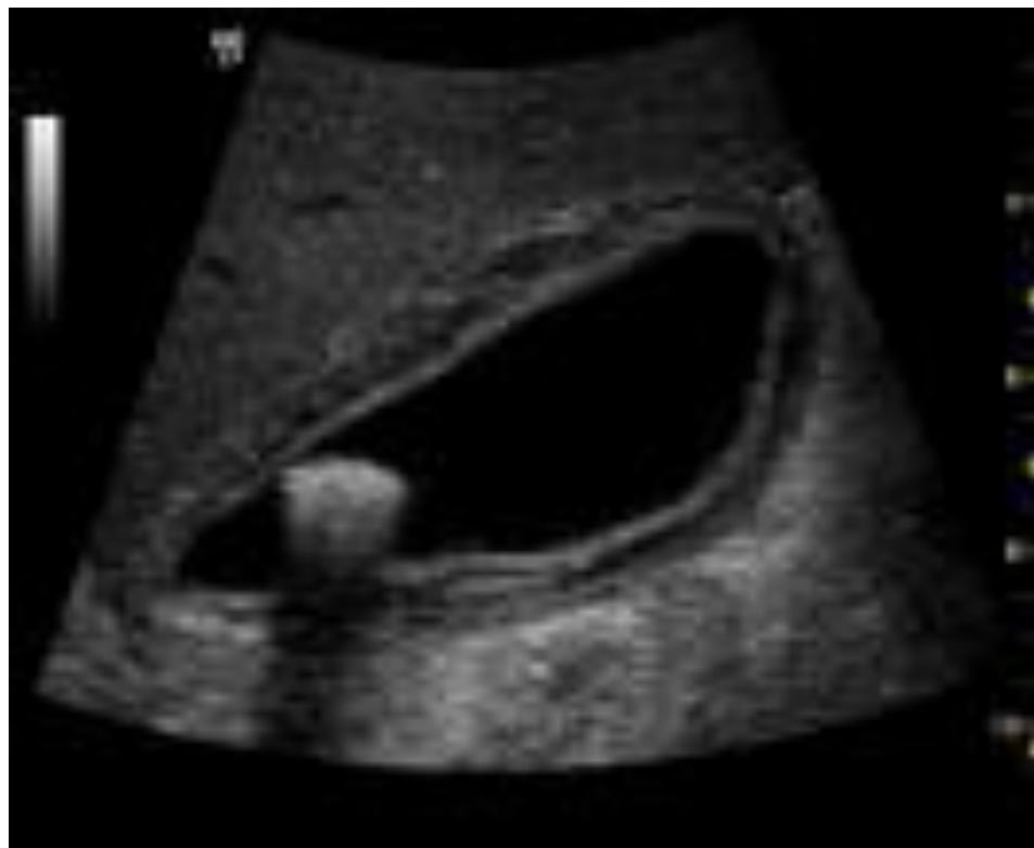 _page_130_Picture_4.jpeg|335x275