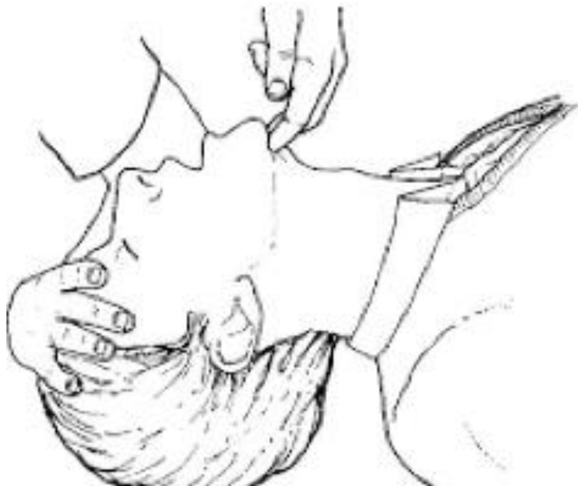 _page_1_Picture_1.jpeg|224x188