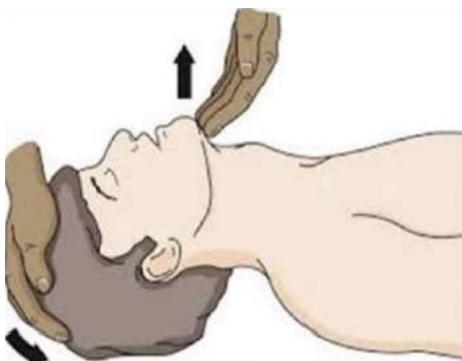 _page_25_Picture_3.jpeg|220x172