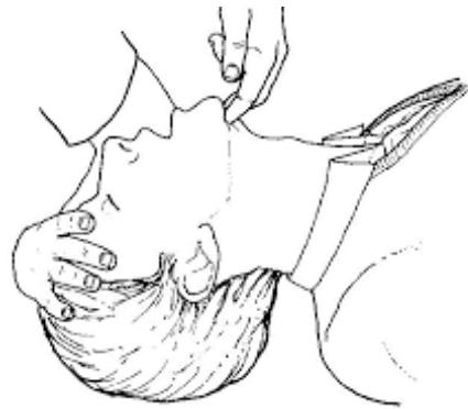 _page_25_Picture_4.jpeg|201x176