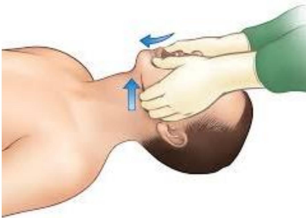 _page_26_Picture_3.jpeg|248x177