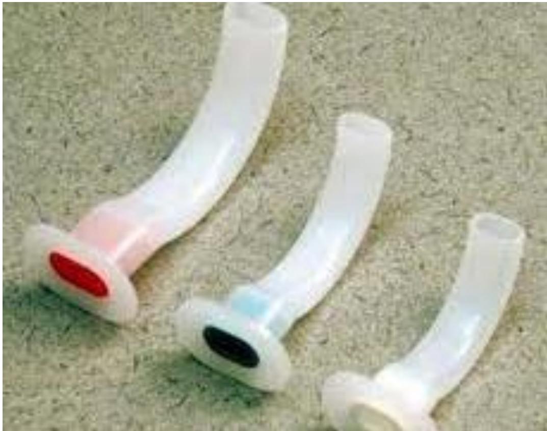 _page_27_Picture_3.jpeg|151x119