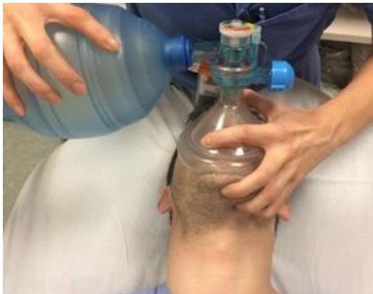 _page_29_Picture_3.jpeg|181x143