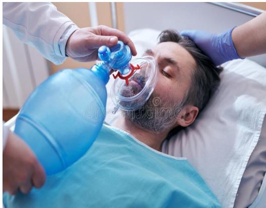 _page_29_Picture_4.jpeg|173x136