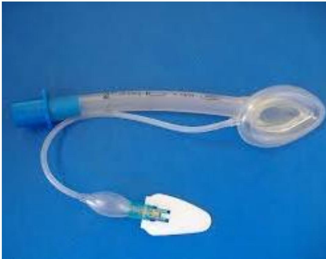 _page_30_Picture_2.jpeg|259x206