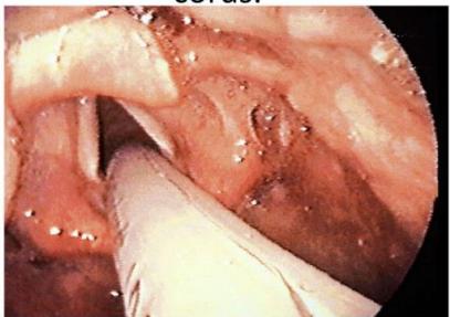 _page_31_Picture_10.jpeg|168x118