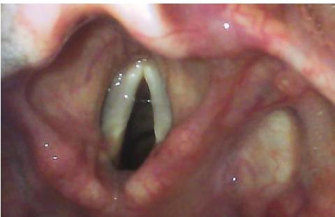 _page_31_Picture_11.jpeg|255x165