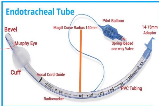 _page_31_Picture_6.jpeg|273x181