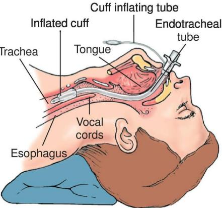 _page_31_Picture_8.jpeg|184x173