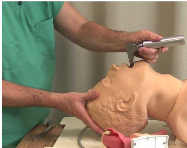 _page_34_Picture_7.jpeg|243x193