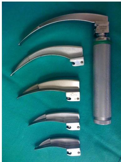 _page_34_Picture_8.jpeg|142x190