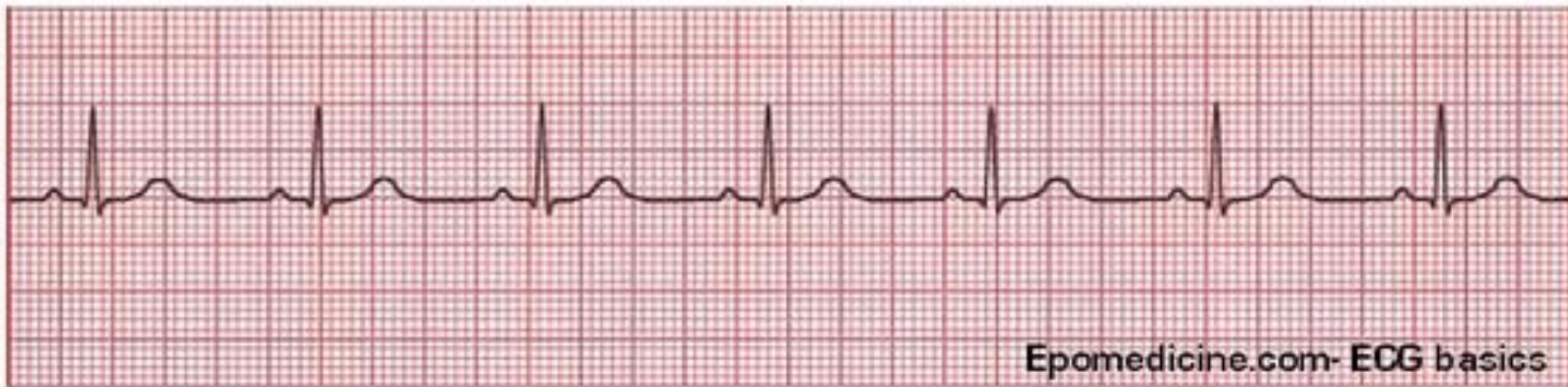 _page_38_Figure_5.jpeg|603x149