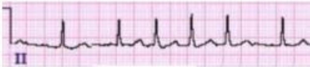 _page_39_Figure_1.jpeg|470x102