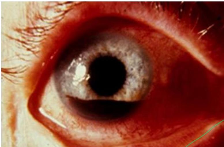 _page_68_Picture_0.jpeg|321x211