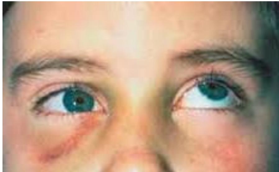 _page_71_Picture_1.jpeg|232x143