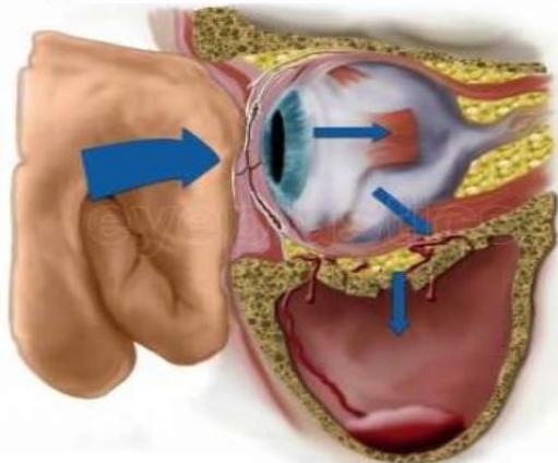 _page_71_Picture_9.jpeg|184x153