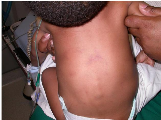 _page_75_Picture_4.jpeg|312x233