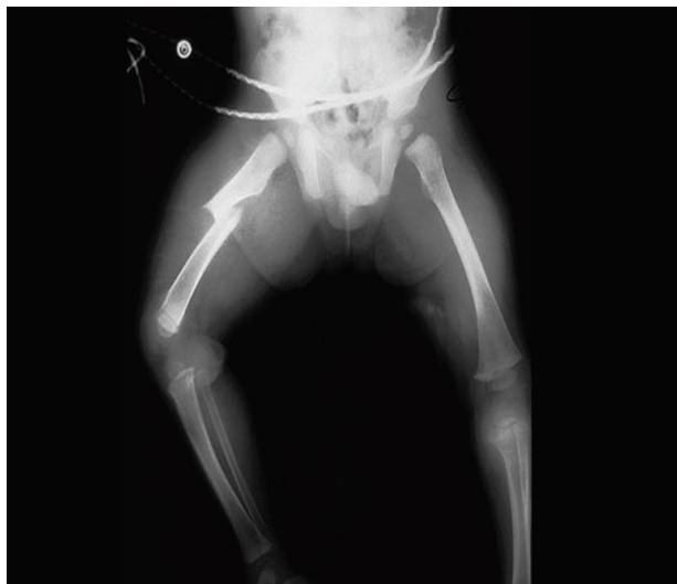 _page_75_Picture_5.jpeg|256x221