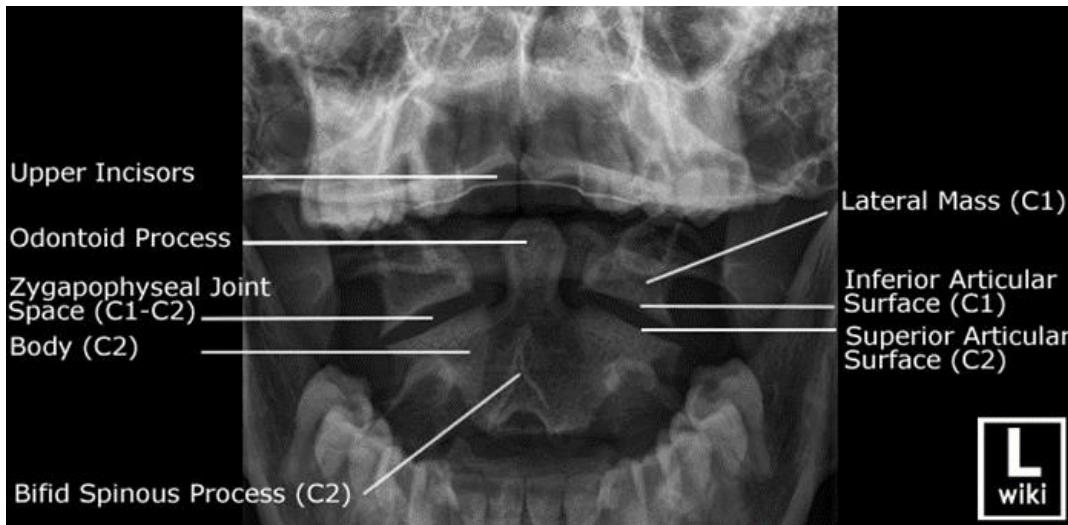 _page_79_Picture_2.jpeg|354x366