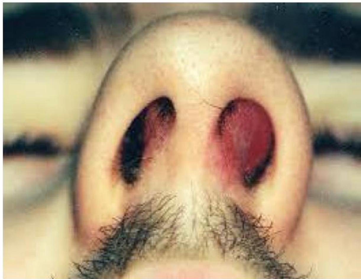 _page_7_Picture_3.jpeg|268x207