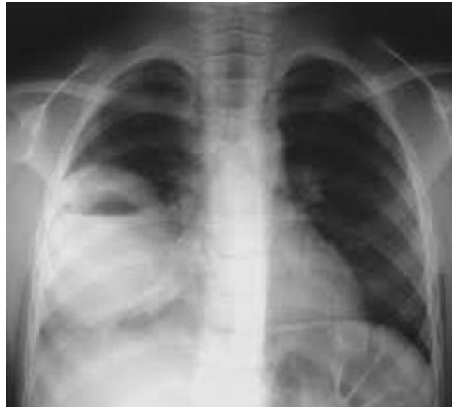 _page_85_Picture_2.jpeg|340x306