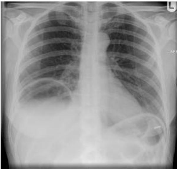 _page_86_Picture_3.jpeg|331x318