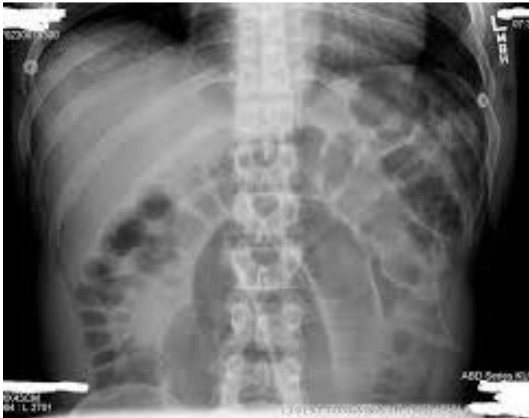 _page_88_Picture_1.jpeg|387x305