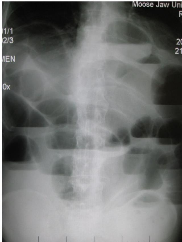 _page_89_Picture_2.jpeg|201x266