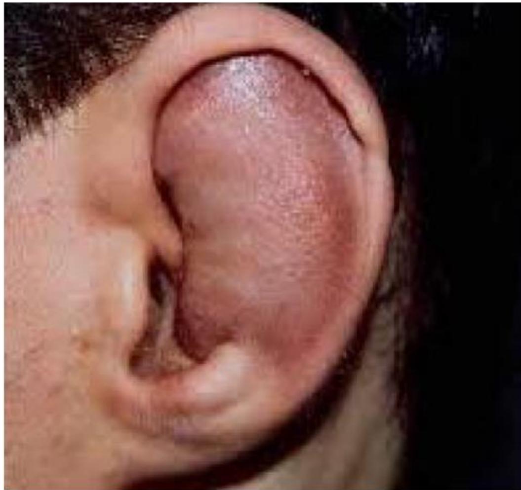 _page_8_Picture_2.jpeg|254x239