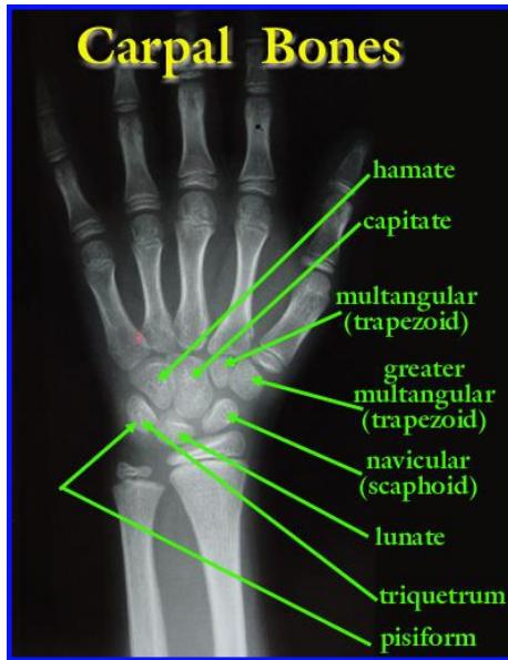 _page_91_Picture_4.jpeg|268x349