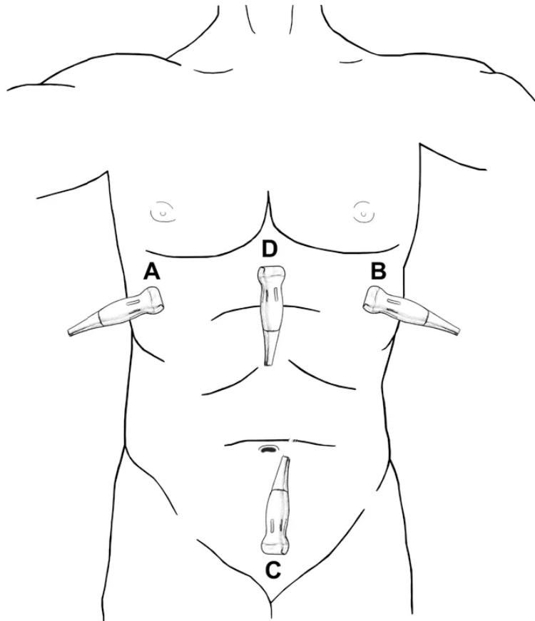 _page_97_Picture_4.jpeg|268x311