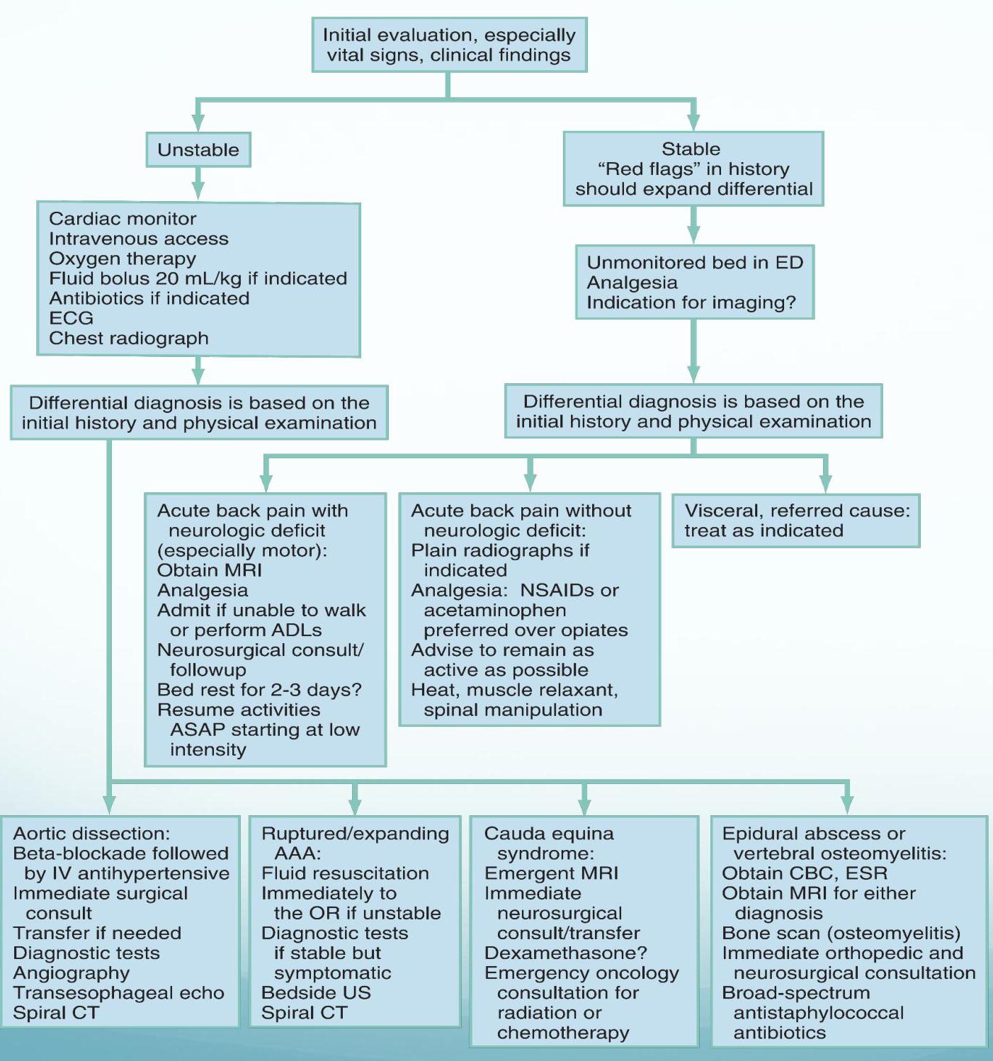 Low back pain img-13