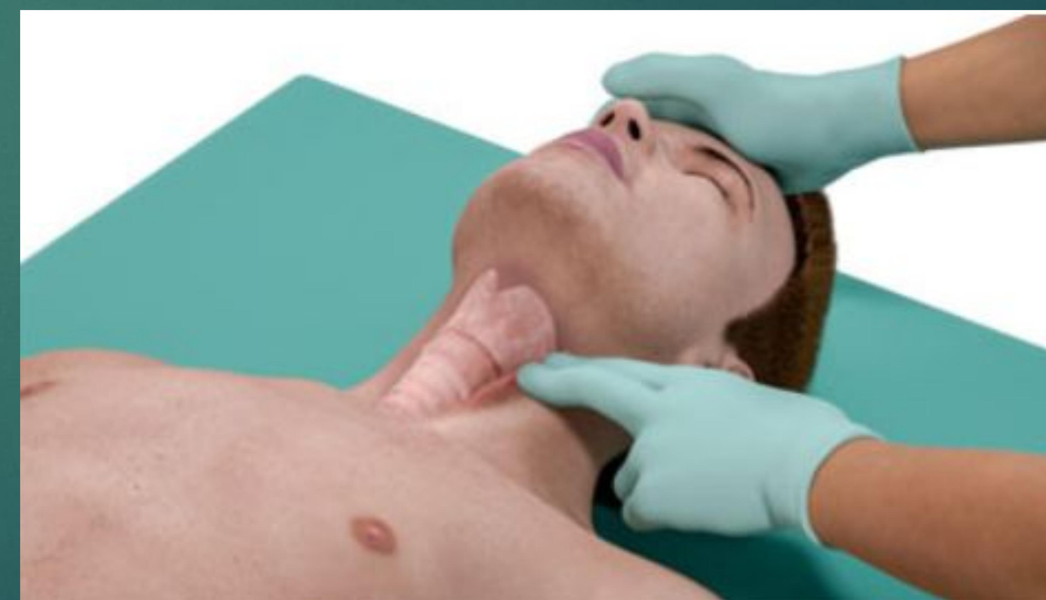 20ab59bc10b900f6cf8a34549848bbf4_img.jpg|350x201