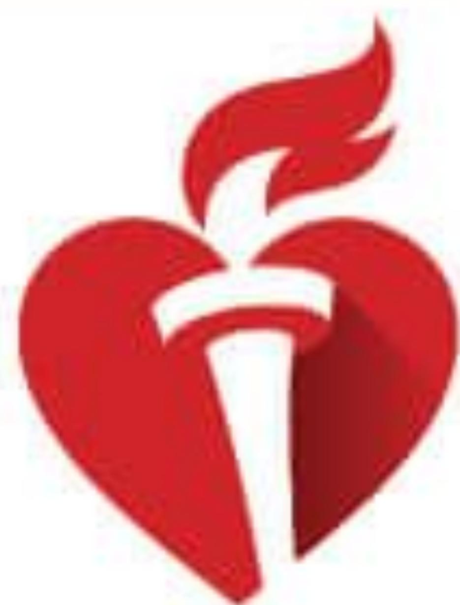 440e59dae4772c0152116a3abd34331a_img.jpg|173x227