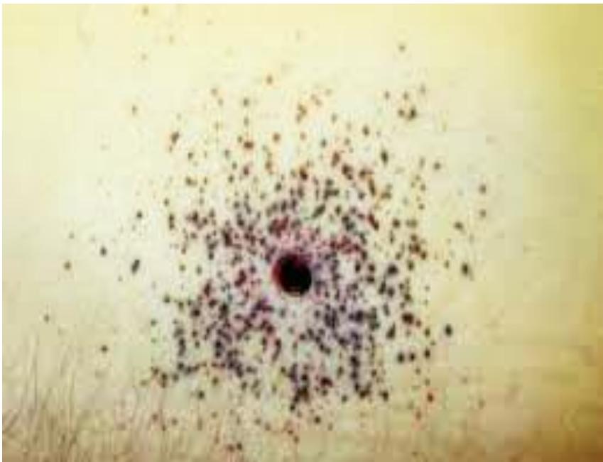 _page_12_Picture_0.jpeg|232x178